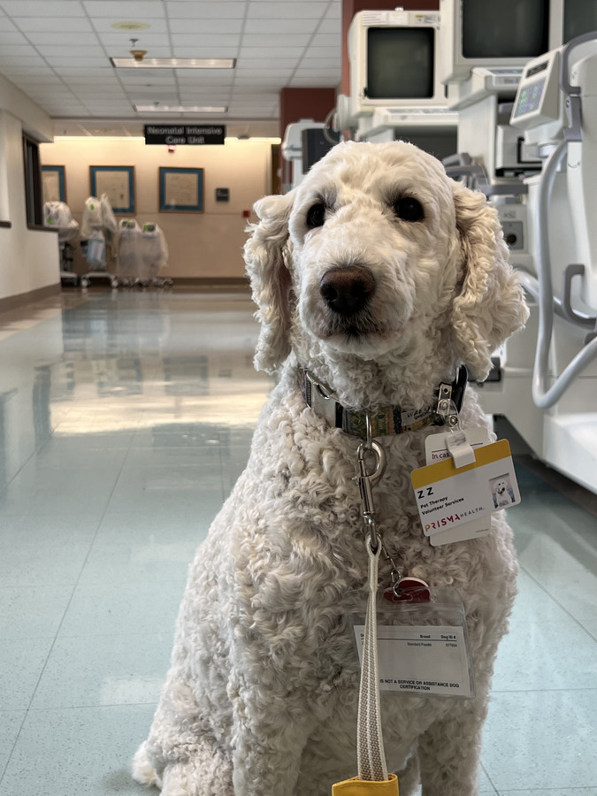 ZZ in the hospital hallway